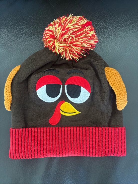 Accessories - Turkey Pom-Pom Beanie Hat - pick 1